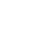 form icon - 100